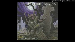 Bat Head Soup: A Tribute To Ozzy 02. Over The Mountain (BG,ES,GM,MS & PT) (2001