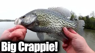 Crappie and Bluegill Fishing From the Bank - Big Crappie and Bluegill