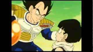 Dragon Ball Z abridged i need an adult