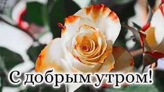 ❤️❤️❤️ПОЖЕЛАНИЕ НА ВЕСЬ ДЕНЬ❤️❤️❤️ С Добрым Утром Хорошего Дня. Доброе Утро! СТИХ