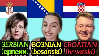 Serbian vs Bosnian vs Croatian (Same or Different?)