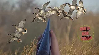 ХОРОШАЯ СТРЕЛЬБА 🎯ТОЗ/34 "ОХОТА НА УТОК"🦆 shooting ducks