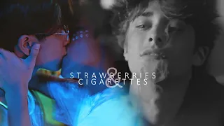 strawberries & cigarettes || BL multifandom