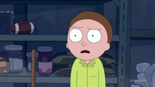 Dead Flies in the Garage - Rick and Morty