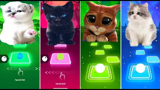 CUTE CATS - LADY GAGA - WAKA WAKA - IMAGINE DRAGONS - DANCIN - LEAN ON | Tiles Hop EDM Rush