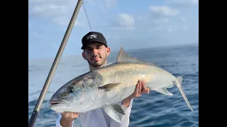 אנטיאס יפה בג'יג - Amberjack on Jigging