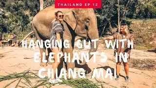 ELEPHANT SANCTUARY THAILAND 🐘CHIANG MAI ELEPHANT JUNGLE SANCTUARY