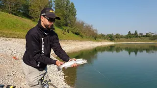 Le basi della Trota Lago Primaverile