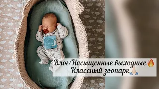 Влог/Один месяц малышу/Первое занятие в бассейне