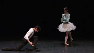 Swan Lake: A beginner's guide - Ballet Mime (The Royal Ballet)