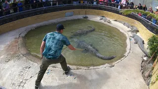 Crocodile Park Torremolinos