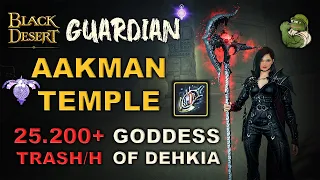 🔥 BDO | Guardian Aw. PRI:Debo Drop | Aakman Temple | Infinite PvE Combo & Addons |