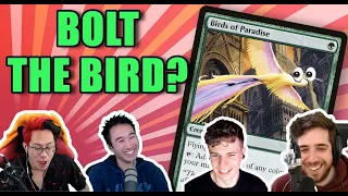 Bolt the Bird and Other Advice | Commander Clash Podcast 90