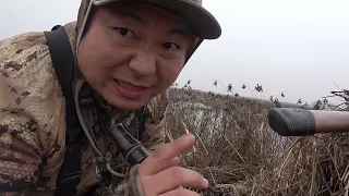 Fog SUCKS??? (or does it) for Duck Hunting | Tristar Shotgun | California Refuges | Hmoob Hunting