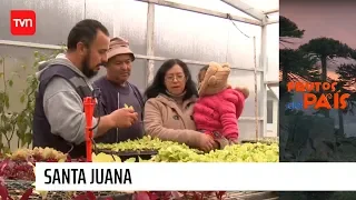 Frutos del país | T12E6: Santa Juana