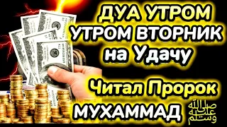 Дуа утром во вторник на Удачу.ВЫ ПОЛУЧИТЕ МНОГО ДЕНЕГ И НЕОГРАНИЧЕННОЕ БОГАТСТВО.ИншаАллах.