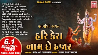 હરિ કેરા નામ છે હજાર | Hari Kera Naam Chhe Hajar | Hemant Chauhan Nonstop Krishna Bhajan