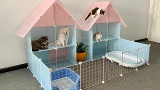 DIY - How To Make Prefab House for Pomeranian Poodle puppies &  kitten - Building Dog Cat Home Ideas
