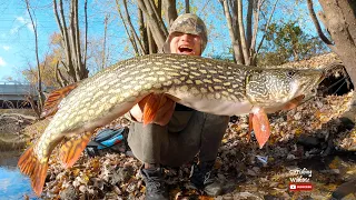 New Trophy Pike on Megabass vision 110, French Pearl! | Passaic River | New Jersey | Vlog041