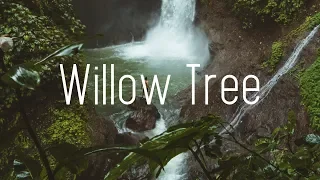 Rival X Cadmium - Willow Tree (Lyrics) ft. Rosendale