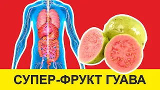 10 ПРИЧИН ПОЧЕМУ ГУАВА СУПЕР-ФРУКТ! / Гуава