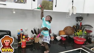 YoYo JR asks dad to cook the noodles for help