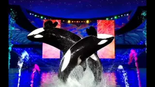 shamu rocks full soundtrack orca show seaworld part 1