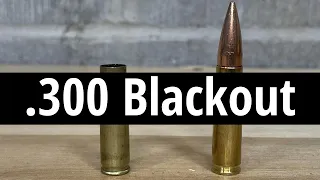 How to Reload 300 AAC Blackout Ammo For Beginners