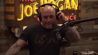 Joe Rogan Cuts Podcast Guest Says Something Personal About Tim Dillon