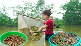 Country life Using nets to Harvesting Shrimp and Crabs - Cooking - Gardening