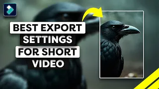 Best Export Settings For Short Video On Filmora 13