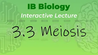 IB Biology 3.3 -Meiosis - Interactive Lecture