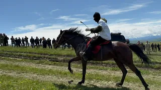 Конный пробег на 37 км в горах Карачаево-Черкессии. Все породы.
