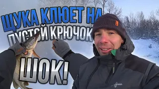 НАШЛИ МЕСТО где ЩУКА клюет на ПУСТОЙ КРЮЧОК ЖЕРЛИЦЫ, а подо льдом куча ПЛОТВЫ и ОКУНЕЙ!