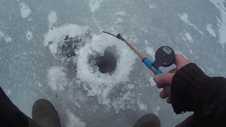 Ловля ротана по первому льду