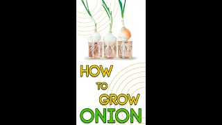 How to 🌿Grow 🌿onion