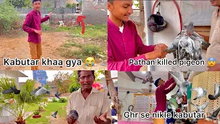 Good news 😍 pigeon rescue from pathan 🕊 !! Kabootar k badle paise 💸 de diye 😭