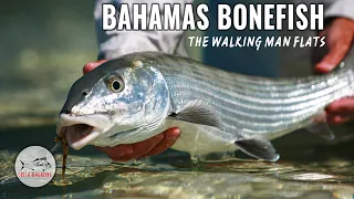 FLY FISHING SALTWATER FOR BONEFISH BY TODD MOEN