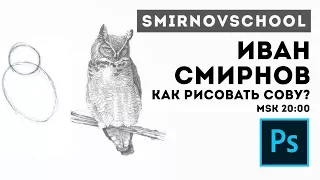 КАК НАРИСОВАТЬ СОВУ? Урок рисования от Smirnov School