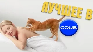 Приколы Август 2016 Подборка приколов Coub Vine #155 Лучшее в Coub Funny Fail Compilation August2016