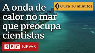 A onda de calor no mar que preocupa cientistas