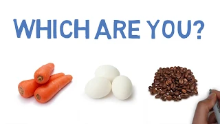 Carrot, Egg, or Coffee Bean? | Story