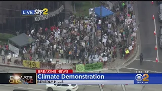 Climate Activists Protest Outside Consulate General Of Brazil