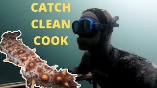 FREEDIVING for SEA CUCUMBER (Catch Clean Cook) - Spearfishing Vancouver Island BC - 4K