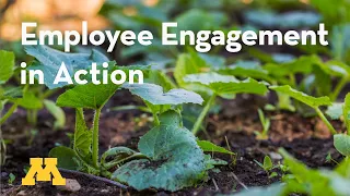 Supervisory Development: Employee Engagement in Action