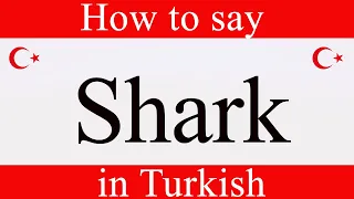 Learn Turkish | How to say "Shark" in Turkish | Learn Turkish Language