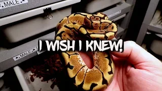 10 Things I wish I knew before Breeding Snakes!