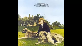 Van Morrison - You Don't Pull No Punches But You Don't Push The River