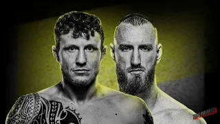 Разбор турнира UFC Fight Night   Hermansson vs  Pyfer 11 02 24