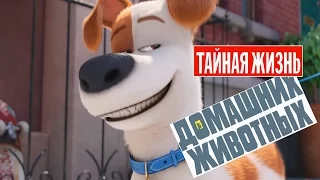 Тайная Жизнь Домашних Животных [2016] Русский Трейлер #2